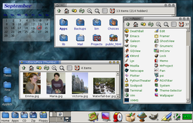 Скриншот программы ROX Desktop