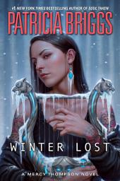 Дүрс тэмдгийн зураг Winter Lost