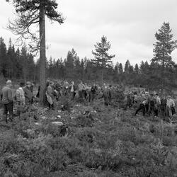 Fra Elverum skogråd og Elverum skogeierlags skogdag i Søre O