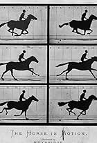 Sallie Gardner at a Gallop