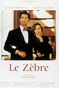 Primary photo for Le zèbre