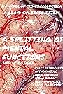 A Splitting of Mental Functions (2014)