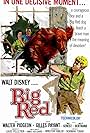 Big Red (1962)