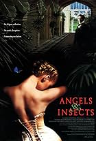 Angels and Insects