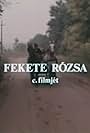 Fekete rózsa (1981)