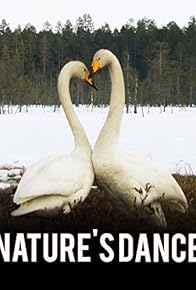 Primary photo for Nature's Dance