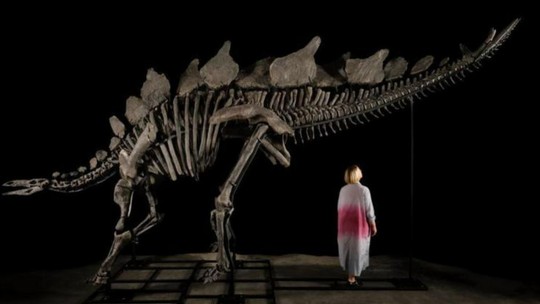 O caçador de dinossauros que achou no 'quintal' fóssil que será leiloado por milhões de dólares