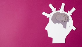 Por que o cérebro mantém a memória de algumas experiências e outras não?