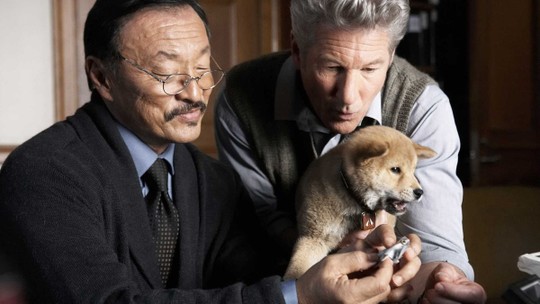 Veja 12 filmes de cachorro obrigatórios para quem ama pets