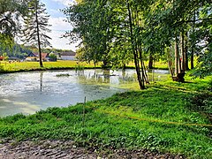 Teich an den Märzenbecherwiesen bei Narsdorf.jpg