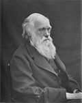 Thumbnail for File:1878 Darwin photo by Leonard from Woodall 1884 - cropped grayed partially cleaned.jpg