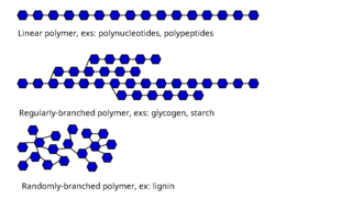 Linear vs branched polymers.png