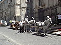 Carrozza matrimoniale / Wedding cart.