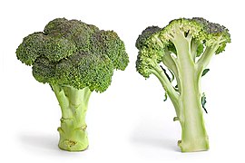 Brassica oleracea italica (Broccoli)