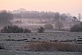 Morgennebel im NSG Nr. 76 Oberalsterniederung * Wiki Loves Earth 2020/Deutschland