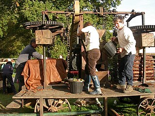 Mechanical cider press in Britain