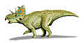 Albertaceratops