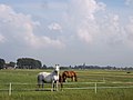 View of Nes aan de Amstel, a village between Amstelveen and Uithoorn, south of Amsterdam