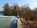 oberer Vogelstangsee - zugefrohren - Damm