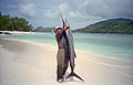 Mahe Beach - sailfish