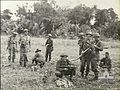 AITAPE AREA, NORTH EAST NEW GUINEA. C. 1944-04-22/23. RAAF GROUND CREWS SEARCHING FOR SOUVENIRS LEFT BY THE JAPANESE IN KORAKO VILLAGE.