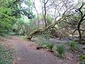 Sentier du Loc'h : rive droite.