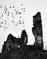 Ruins of "Sf. Paraschiva" Church, Podoleni, Neamţ County; 3rd prize for WLM Romania 2011