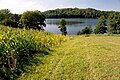 Hańcza Lake