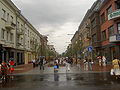Vilniaus gatvė Vilnius street