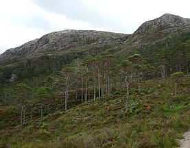 Beinn Eighe, Wester Ross, Scotland