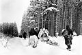 American troops drag a heavily loaded ammunition sled through the snow, as they move for an attack on Herresbach, (01/28/45)