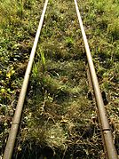 Narrow gauge (750 mm) rail