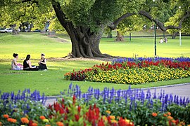 Spring picnic, Botanic Gardens