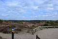 Veluwe Zwerfpad and Maarten van Rossumpad near Posbank