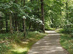 Foret de Rambouillet