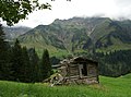 Heuhütte oberhalb von Schröcken