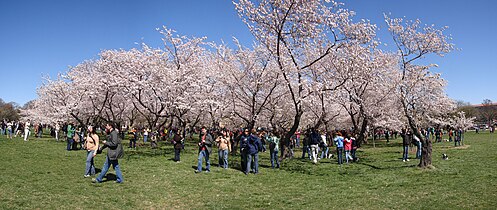 National Mall, Washington DC