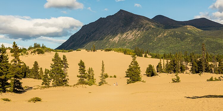 Carcross Desert, Yukon, Canada.