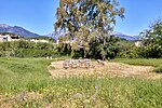 Thumbnail for File:The remains of the Temple of Artemis Orthia in Sparta on 15 May 2019.jpg