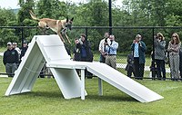 MTAPD Canine Training Facility (26942355044).jpg