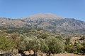 * Nomination Psilorits (Ψηλορείτης, 2456 m), highest mountain in Crete, viewed from Monastiraki in the Amari Valley --Uoaei1 06:14, 1 February 2016 (UTC) * Promotion Good quality. --Jacek Halicki 08:22, 1 February 2016 (UTC)