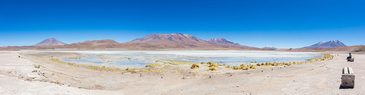 Hedionda lagoon, Bolivia.