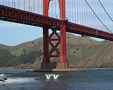 Surfing under the Golden Gate Bridge