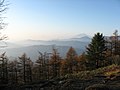 Trees in autumn, Nanatsuishi, Yamanashi pref., Japan