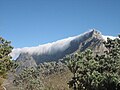 Table Mountain, South Africa (3/1)