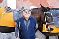 Donkeys of Santorini Mule Path, Fira, Santorini island (Thira), Greece-2