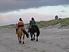 Ausritt am Strand.JPG