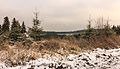 Krenkeltal Rothaarsteig in Sauerland panorama.