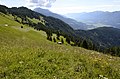 English: Haymaking on the Mussen alp Deutsch: Heuernte auf der Mussen