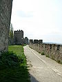 Scarp on the Danube side